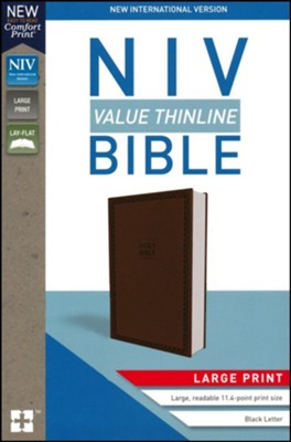 NIV Value Thinline Bible, Large Print, Brown