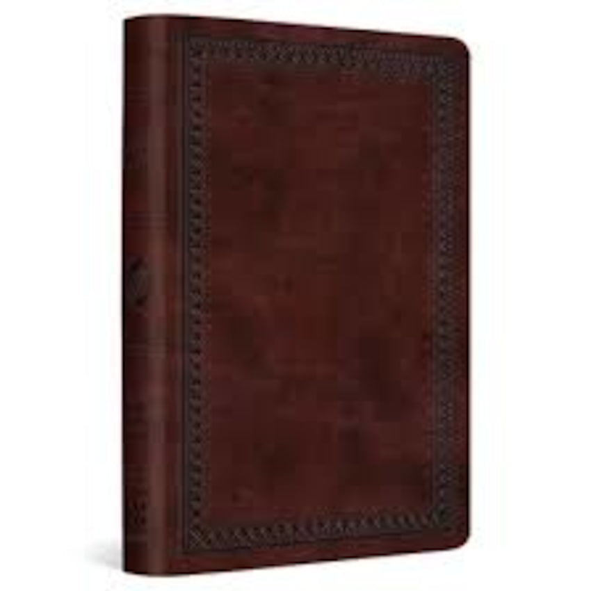 Value Compact Bible-ESV-Border Design