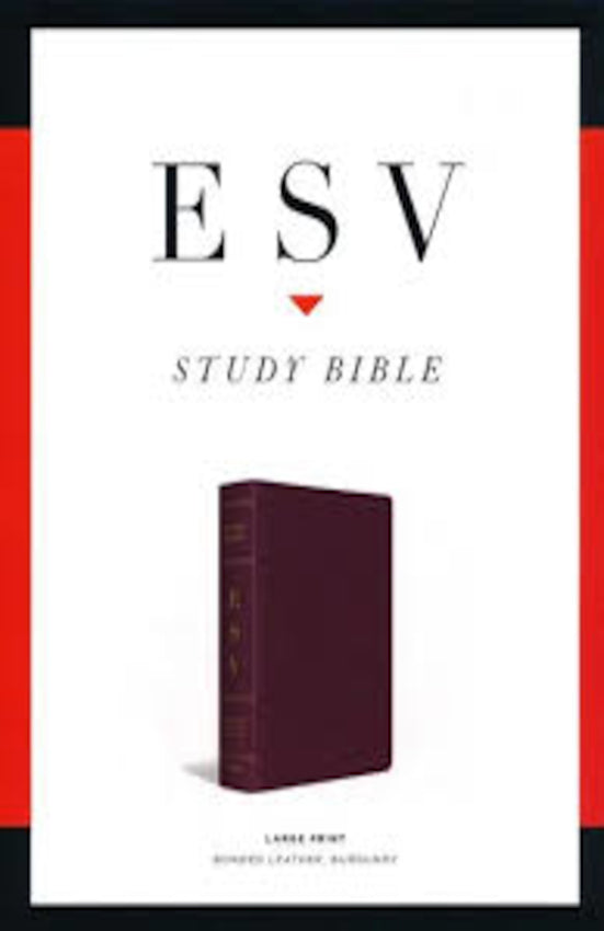 ESV Study Bible, Large Print Bonded Leather, Burgundy