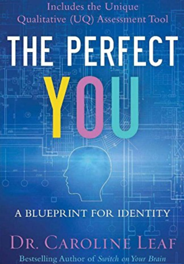 The Perfect You Hardcover